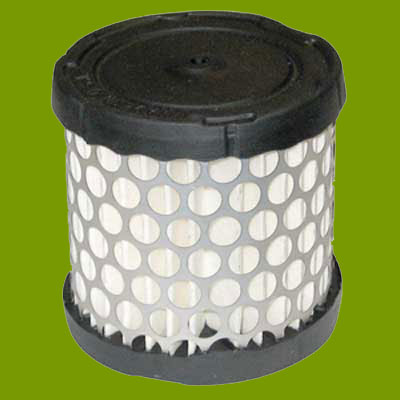 (image for) Briggs & Stratton Air Filter 396424, 396424S, AIR1627